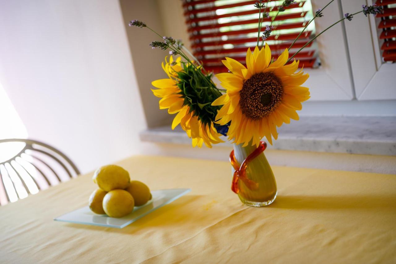 Apartment Marko Kornic Luaran gambar